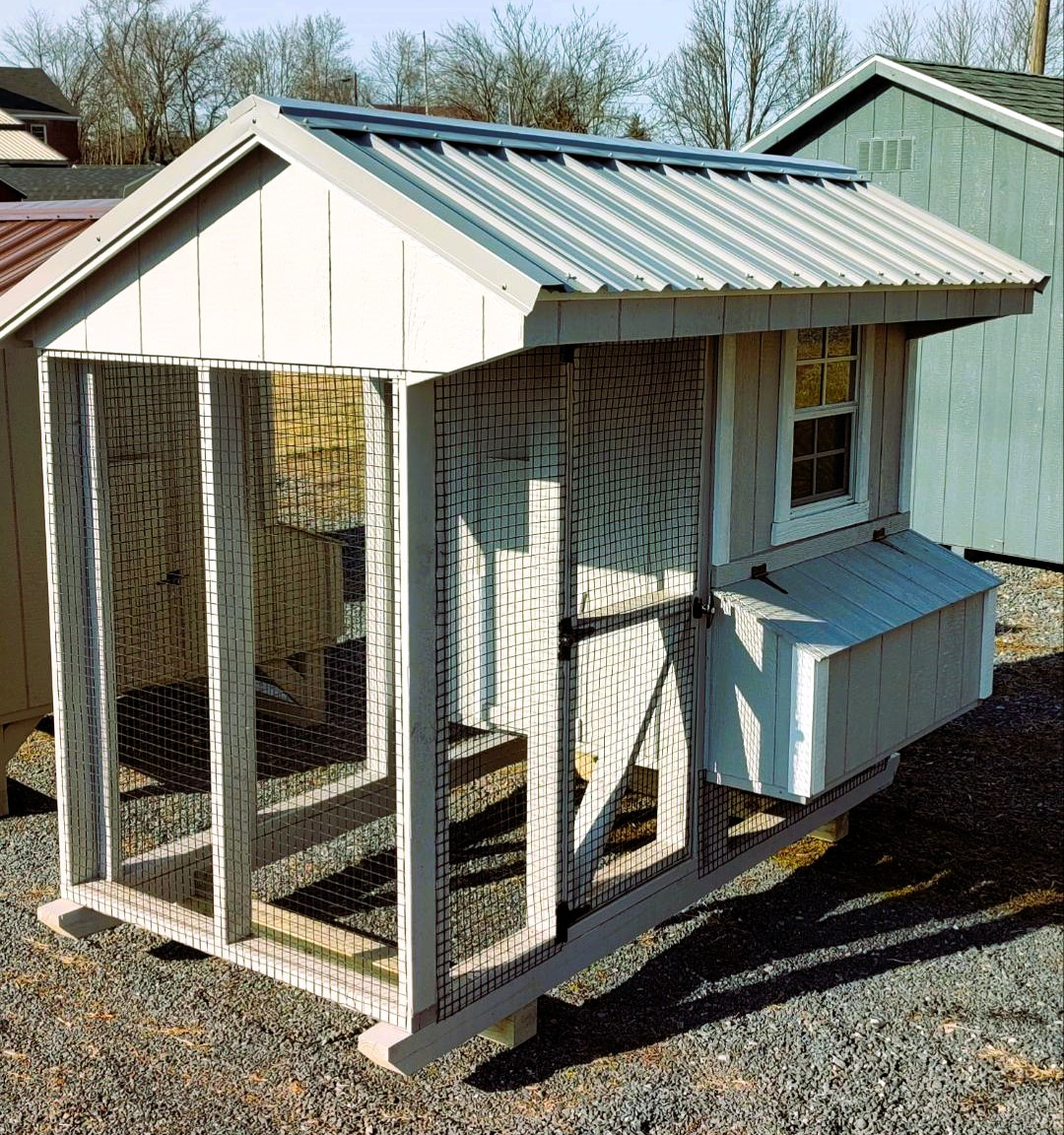 4x8-Quaker-Style-Combo-Chicken-Coop-1