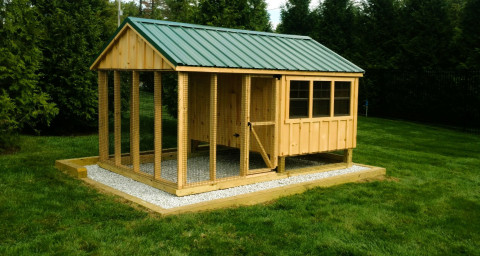 8x12-Board-and-batten-Chicken-coop-1