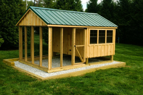 8x12-Board-and-batten-Chicken-coop-1